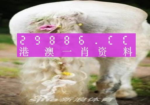 2024澳门正版平特一肖，重点解答解释落实_VIP49.86.35