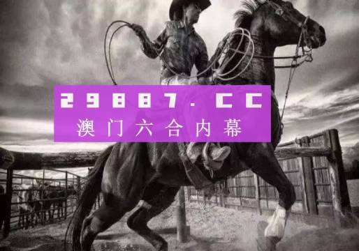 澳门一肖一码必中一肖一码，快速解答解释落实_VIP48.74.36