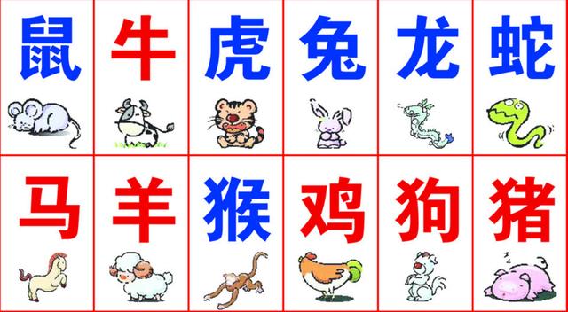澳门正版资料大全生肖卡，精准解答解释落实_iShop94.30.56