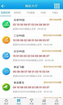 2024年新澳门王中王开奖结果，精准解答解释落实_WP73.90.84